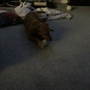 Meet your Posher, Aaliyah